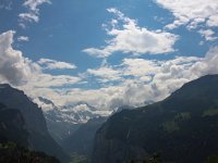 CH, Bern, Lauterbrunnen, Wengen 4, Saxifraga-Bart Vastenhouw